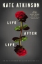 lifeafterlife (61x94)